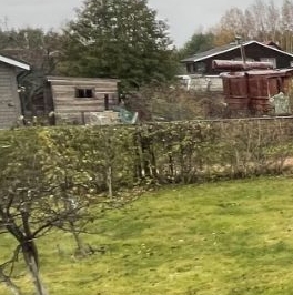 Продажа дома Сосновый Бор, Ромашка СНТ, улица Цветочная,  д. 168