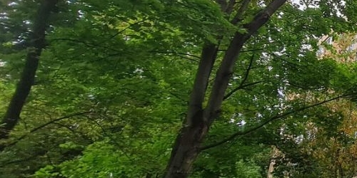 1-комн квартира Глебовская улица, 6