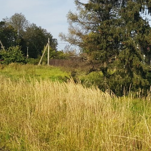 Коттедж/дом д. Долговка, улица Ленина, 1