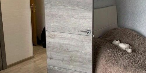 1-комн квартира Пушкин, Прямой переулок, 3