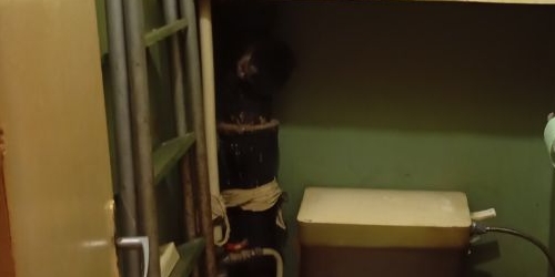 1-комн квартира Чкаловский проспект, 56