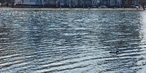 3-комн квартира улица ольги форш,  д. 7,  к. 1