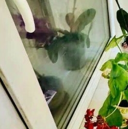 Продажа 3-комн квартиры на вторичном рынке улица Брянцева, 13к1 Продажа 3-комн квартиры на вторичном рынке улица Брянцева, 13к1