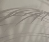 Сдать в аренду Квартиры вторичка проспект Энергетиков, 11к2   