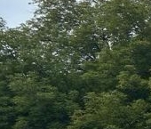 Продать Квартиры вторичка Большая Академическая улица, 73К1   