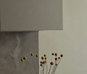 Сдать в аренду Квартиры вторичка Шелепихинская набережная, 34к5   