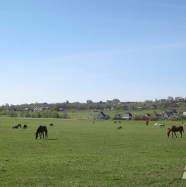 Продажа земли Михайловская д Продажа земли Михайловская д