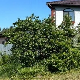 Продажа земли Пески СНТ, 66А