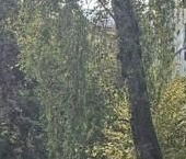 Продать Квартиры вторичка Дедовск г., улица Спортивная, 1   