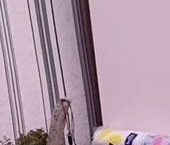 Продать Квартиры вторичка пос. Коробицыно, улица Центральная, 13   