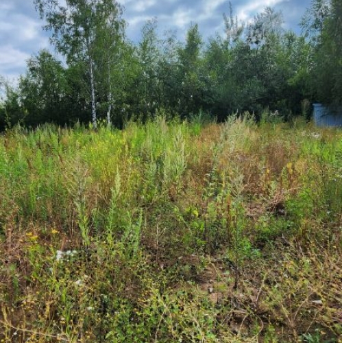 Земельный участок Королёв, улица Луначарского