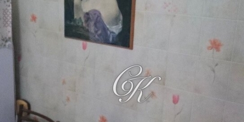 1-комн квартира Брянская улица,  д. 8