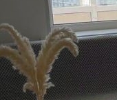 Продать Квартиры вторичка улица Плесецкая, 20к1   