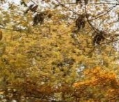 Продать Квартиры вторичка улица Фомичевой, 5К2   