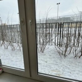 Продажа 3-комн квартиры на вторичном рынке Янино-1 пгт, Тюльпанов (Янила Драйв мкр) ул,  д. 1 к3