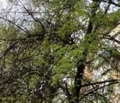 Продать Квартиры вторичка Кантемировская улица, 25К2   