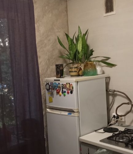 2-комн квартира д. Разметелево, 1