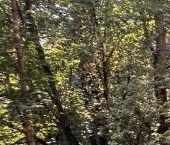 Продать Квартиры вторичка Гатчина, улица Рощинская, 2   