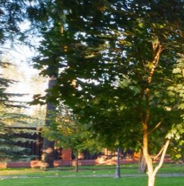 Продажа земли Ольгино тер., улица Коммунаров, 7