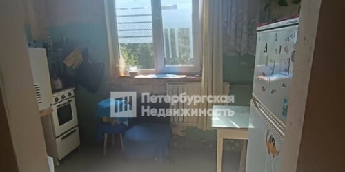 1-комн квартира Испытателей пр-кт,  д. 20