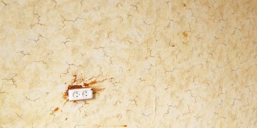 4-комн квартира Бухарестская улица, 23К1