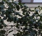 Продать Квартиры вторичка Гаврская улица, 3К1   