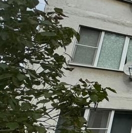 Продажа 1-комн квартиры на вторичном рынке пос. Пролетарский, улица Центральная, 12