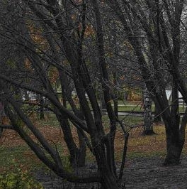 Аренда 3-комн квартиры на вторичном рынке улица Борисовские Пруды, 38 Аренда 3-комн квартиры на вторичном рынке улица Борисовские Пруды, 38