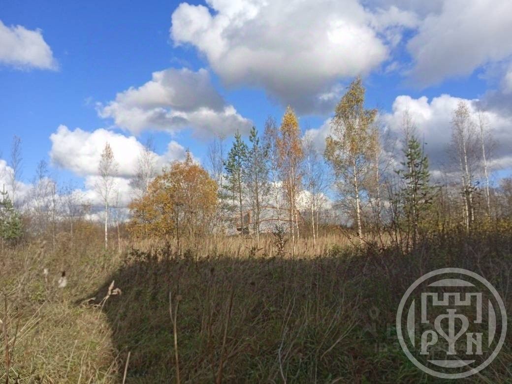 Продажа земли д. Ивановка (Веревское территориальное управление), улица Павловская