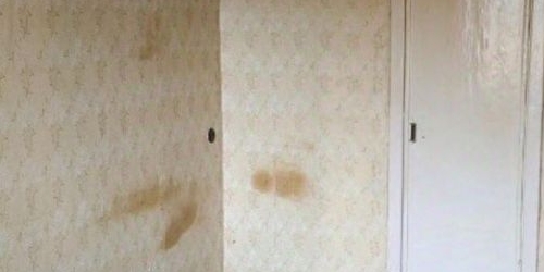 2-комн квартира Астрадамская улица, 1К1