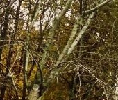 Продать Квартиры вторичка Профсоюзная улица, 92   