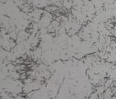 Сдать в аренду Квартиры вторичка пос. Шушары, улица Вишерская, 3к2   