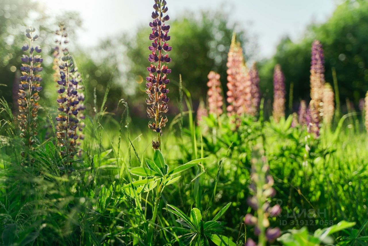 Продажа дома Павловск