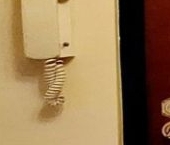 Продать Квартиры вторичка улица Фабрициуса, 6С1   