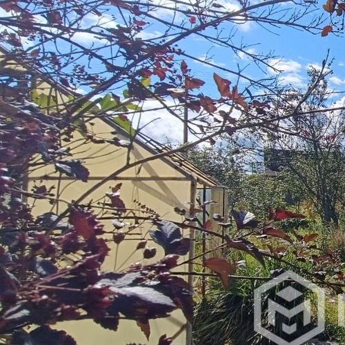 Коттедж/дом Чаща садоводческий массив, Политехник СНТ, 6-я линия