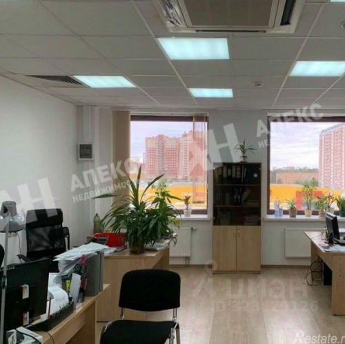 Офис Дубечино, Центральная улица