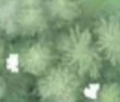 Продать Земельные участки, земля Конта СНТ, 432   