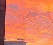 Продать Квартиры вторичка Сертолово, улица Верная, 3к1   