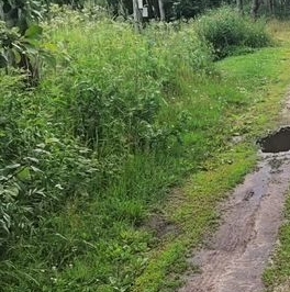 Продажа дома д. Устеево, 18