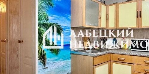 1-комн квартира проспект Испытателей, 20