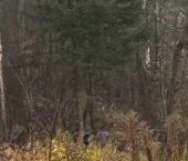 Продать Земельные участки, земля Горы-1 садоводческий массив, Геолог СНТ, 16   