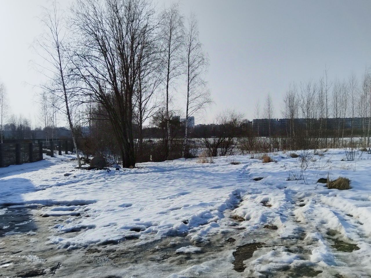 Продажа земли Выборгское шоссе, 176