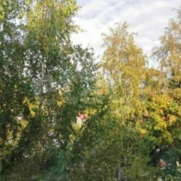 Продажа 3-комн квартиры на вторичном рынке Приморское шоссе,  д. 291