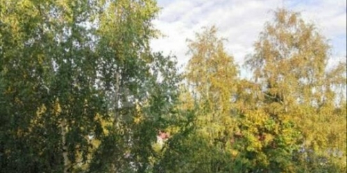 3-комн квартира Приморское шоссе,  д. 291