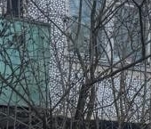 Продать Квартиры вторичка Дружная Горка городской поселок, улица Введенского, 3   