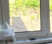 Продать Дачи, коттеджи, загородные дома Выборг, улица Весенний Поток, 11   