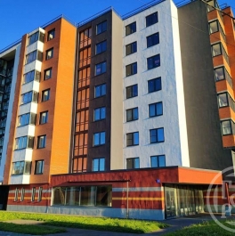 Продажа студии Романовка пос., д. 33 Продажа студии Романовка пос., д. 33