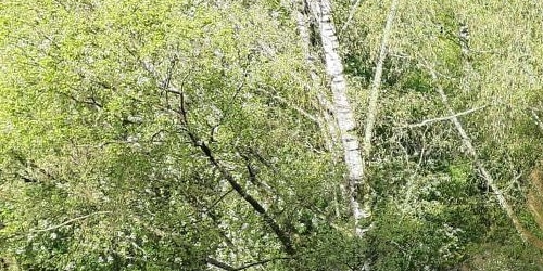 2-комн квартира улица Карпинского, 14