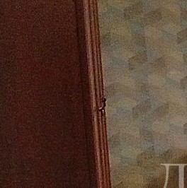 Аренда 1-комн квартиры на вторичном рынке Ташкентский переулок, 1