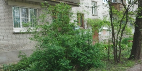 Комната Красное Село г., Красное Село г.,  д. 16,  к. 2